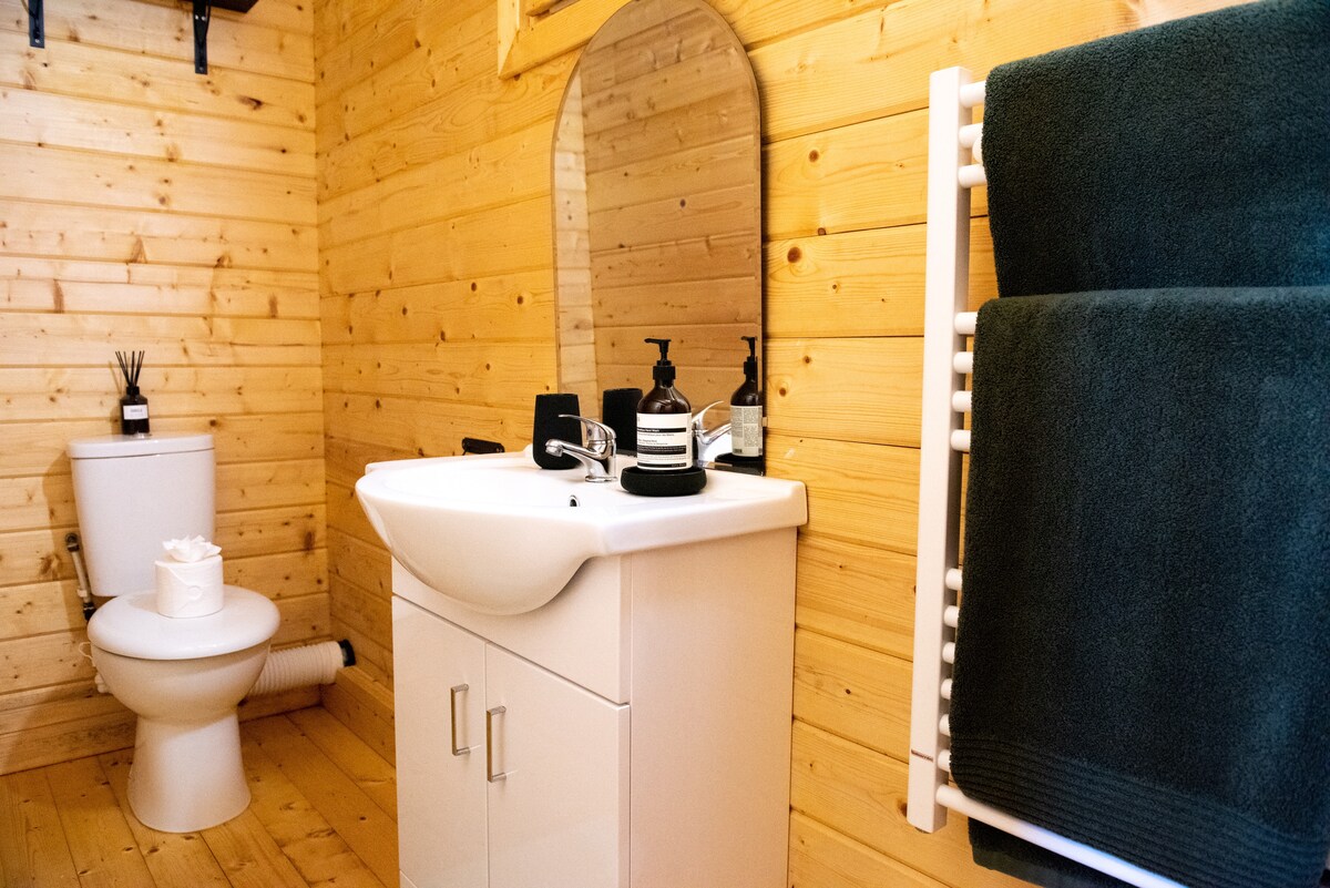En-suite toilet and wash basin in the cabin